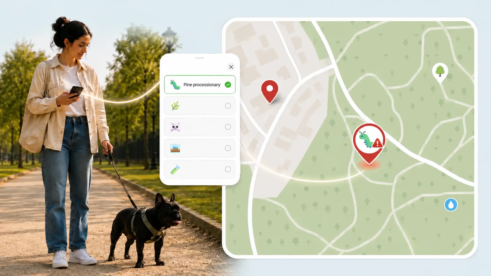 Processionary caterpillar report on ArcaMap to choose a route carefully with a pet