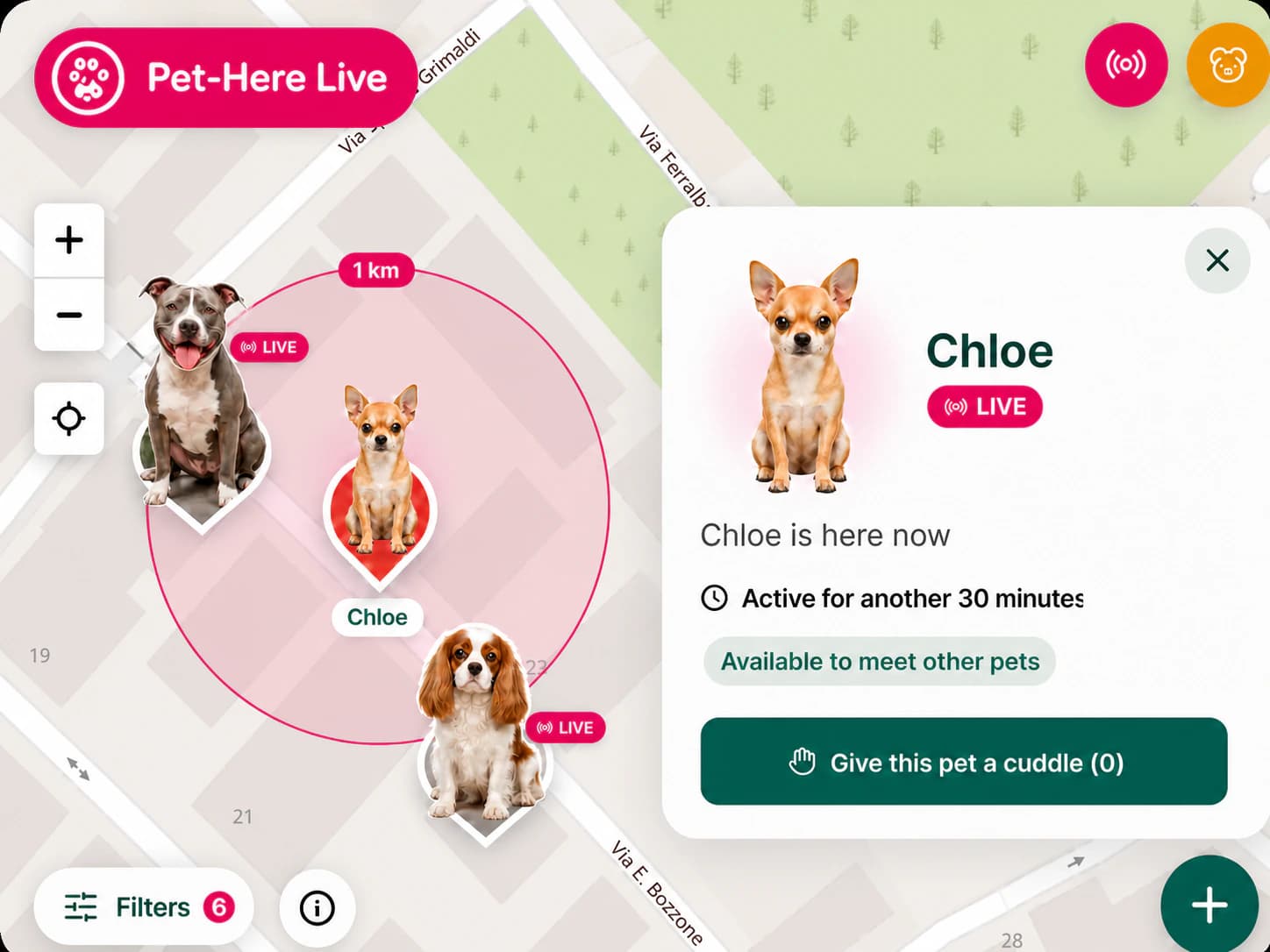 PetHere Live on ArcaMap showing a pet present in real time and open to meeting other pets
