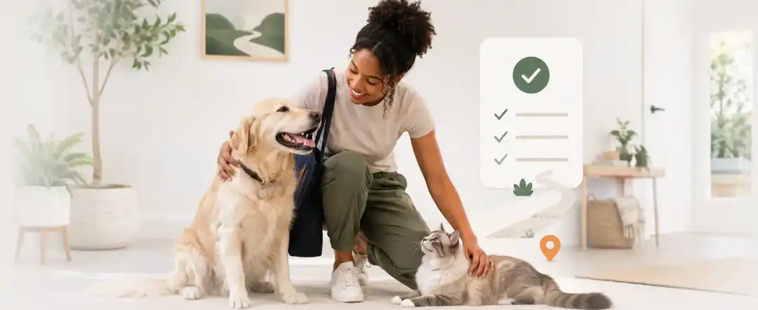 Area dedicata al lavoro del pet sitter